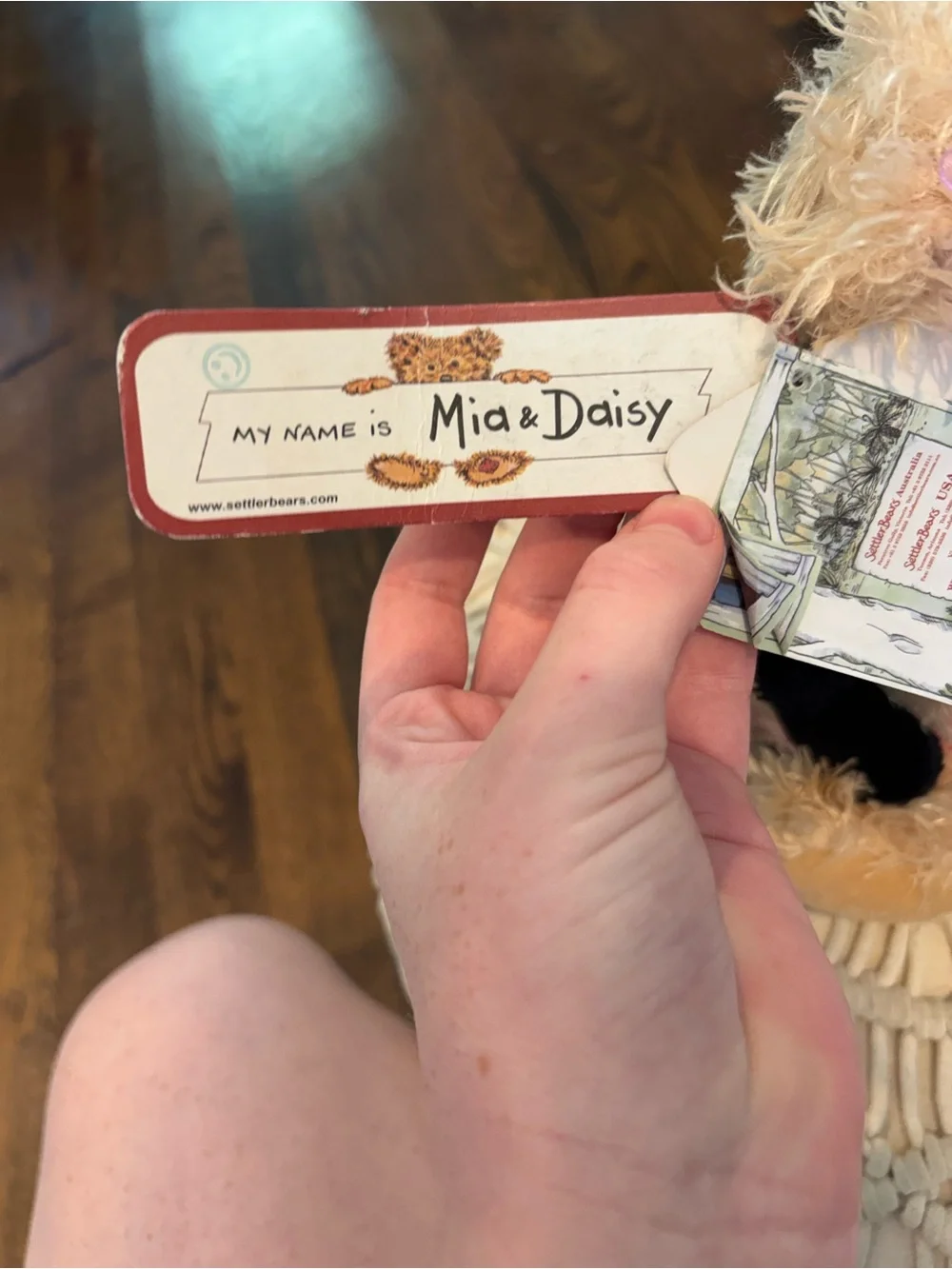 Settler Bear Mia and Daisy with tags